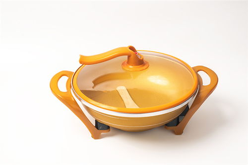 電熱鍋廠 紹興電熱鍋 皇上名廚質(zhì)量可靠高清圖片 高清大圖