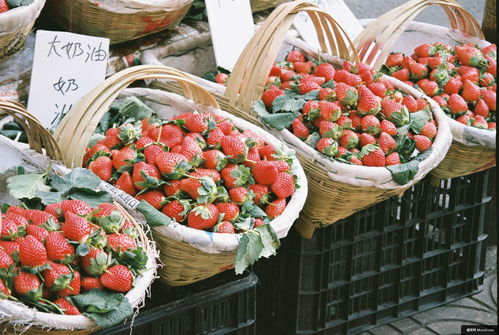 水果 食品 植物 草莓 購物籃 覆盆子 美食攝影圖片圖片壁紙 美食攝影圖片圖片壁紙
