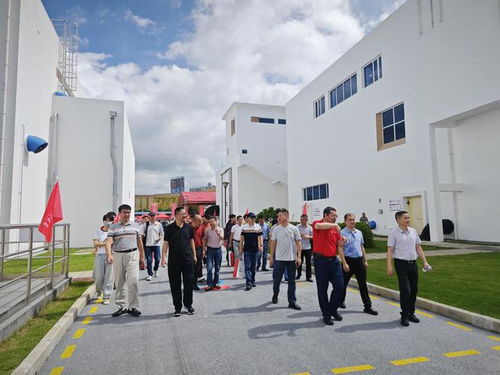 廈門市現(xiàn)狀污水廠站除臭系統(tǒng)提升精品工程觀摩會(huì)圓滿舉辦