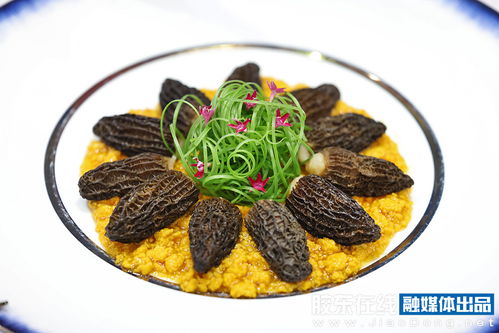 圖集丨第六屆海參產業發展大會暨2024世界海參產業 煙臺 博覽會